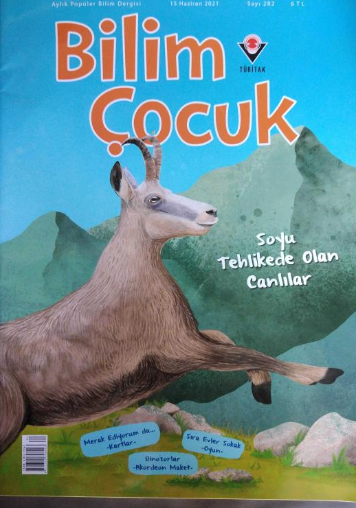 *Bilim ve Çocuk Haziran 2021