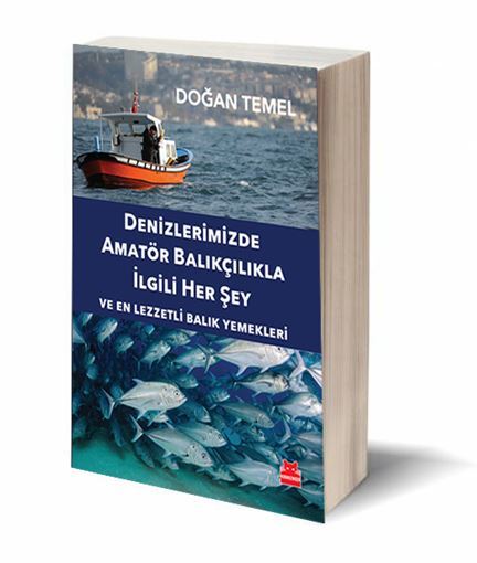 Denizlerimizde Amatör Balıkçılıkla İlgili Her Şey Ve En Lezzetli Balık Yemekleri