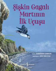 Şişkin Gagalı Martının İlk Uçuşu*