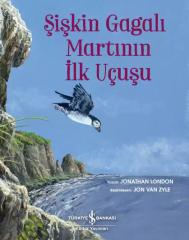 Şişkin Gagalı Martının İlk Uçuşu /