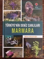 Türkiye'nin Deniz Canlıları Marmara