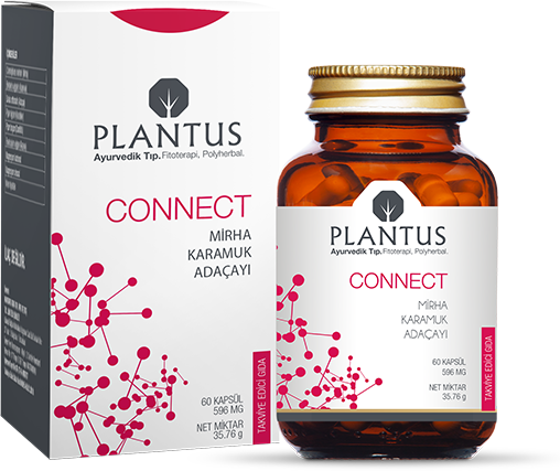 Plantus Connect 60 Kapsül
