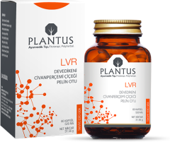 Plantus LVR 60 Kapsül