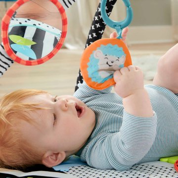 Fisher Price Neşeli Hayvanlar 3'ü 1 Arada Jimnastik Merkezi