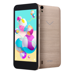 Vestel Venus 5000 2GB Altın