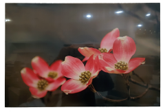Misiny-Çiçek Digital Baskı Kanvas Tablo 001-60 x 40 cm