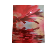 Misiny-Çiçek Digital Baskı Kanvas Tablo 004-50 x 60 cm