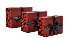 Misiny-Kalp Baskılı 3'Lü Kutu Seti - Kırmızı