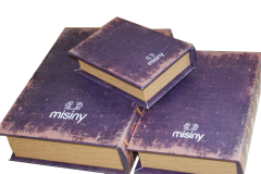 Misiny-Kitap Şeklinde Kutu-3'lü - 006