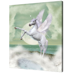 Misiny-Pegasus Digital Baskı Kanvas Tablo 60 x 80 cm