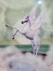 Misiny-Pegasus Digital Baskı Kanvas Tablo 60 x 80 cm