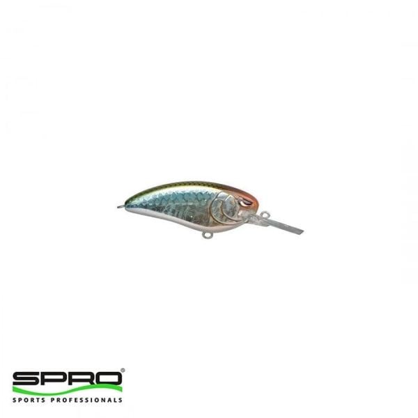 T.D. SPRO LJ John MD 50 B.B. Herring Maket Yem