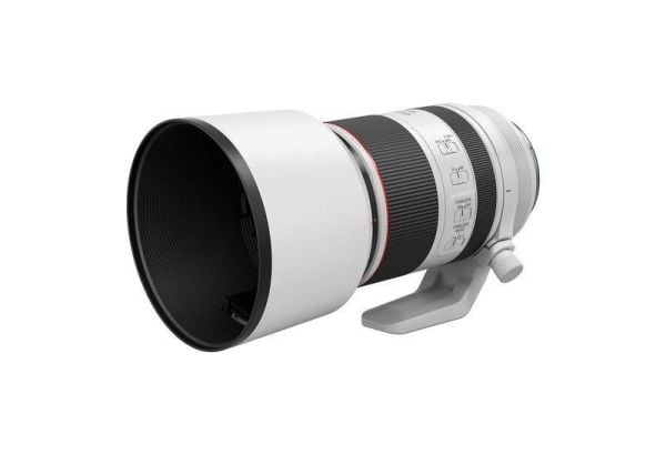 Canon RF 70-200mm F2.8 L IS USM Lens