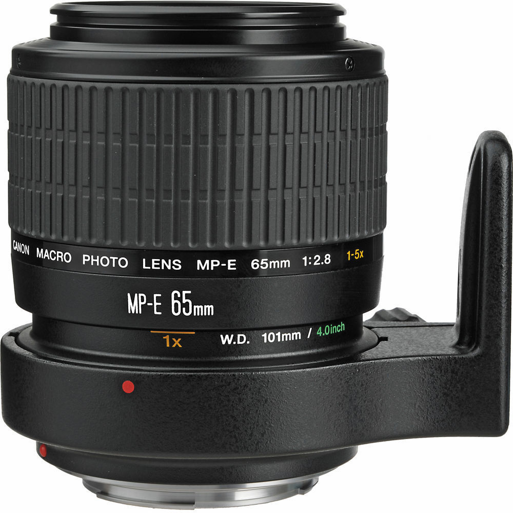 Canon MP-E 65mm f/2.8 1-5x Makro Lens