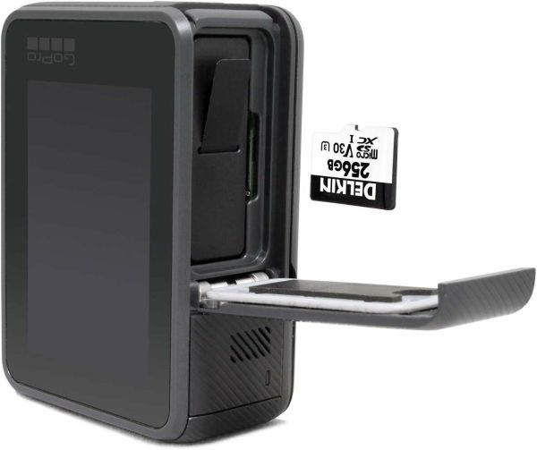 Delkin Devices 256GB V30 microSD Read 100MB/s Hafıza Kartı