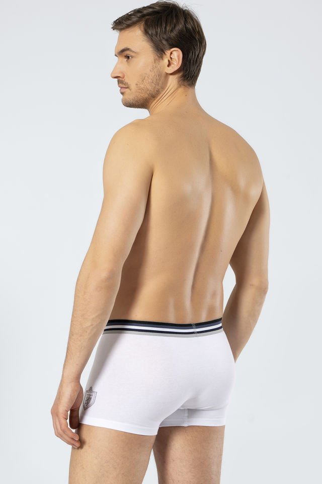 Cacharel Erkek 2\'li Baskılı Boxer