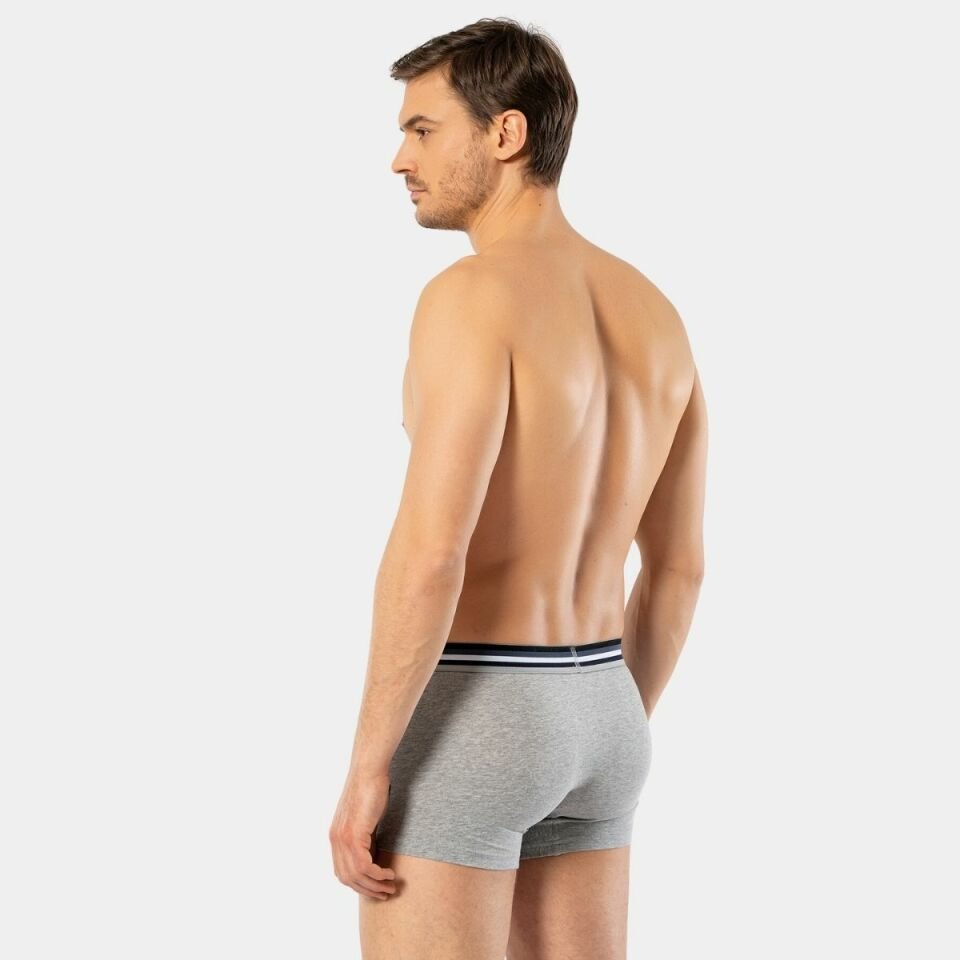 Cacharel Erkek 2\'li Baskılı Boxer