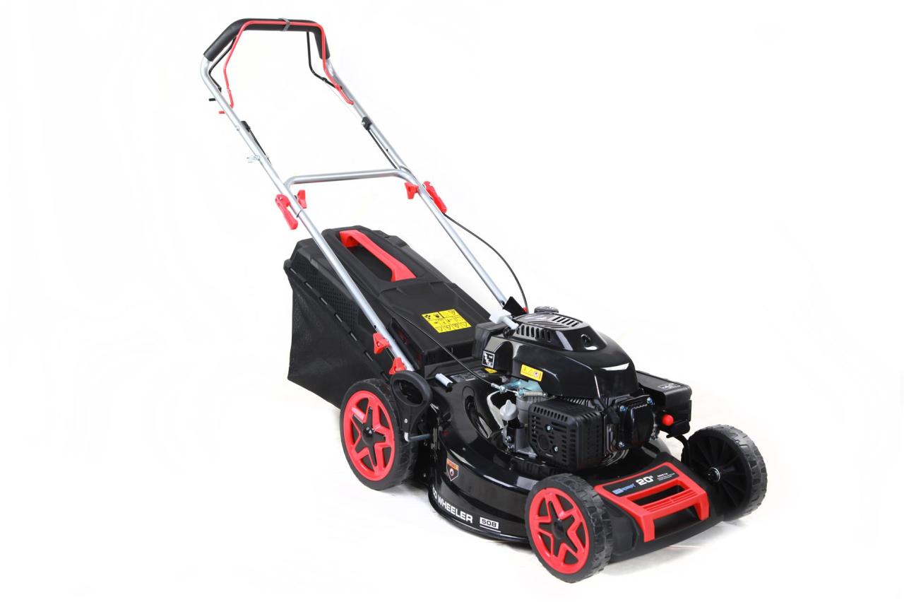 Energy DM 53S-D196 Benzinli Çim Biçme Makinesi