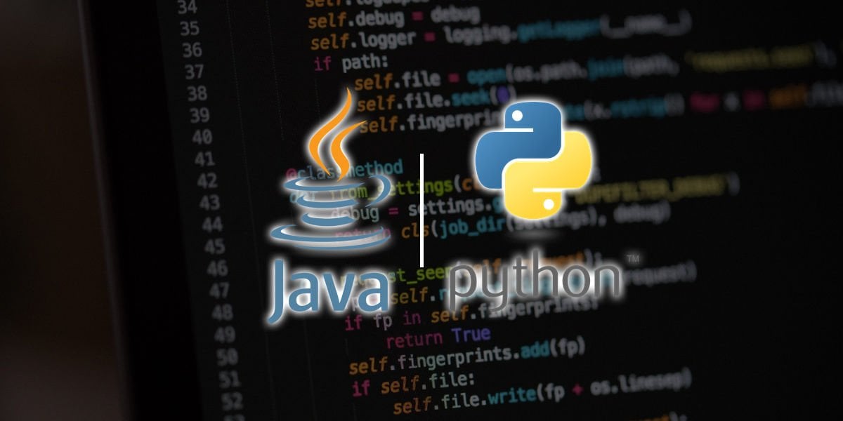 Which Language Should You Start Programming With: Java vs Python