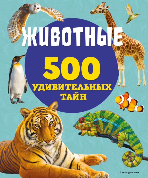 Животные  _ Hayvan