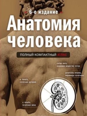 Анатомия человека: полный компактный атлас. 6-издание