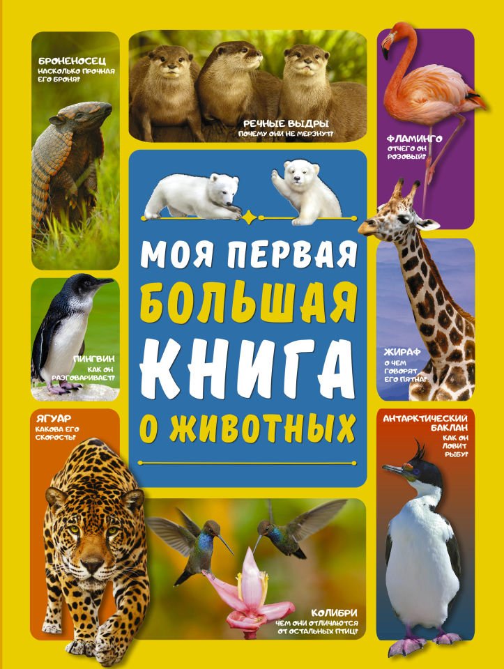 Моя первая большая книга о животных  _ Hayvanlarla İlgili İlk Büyük Kitabım