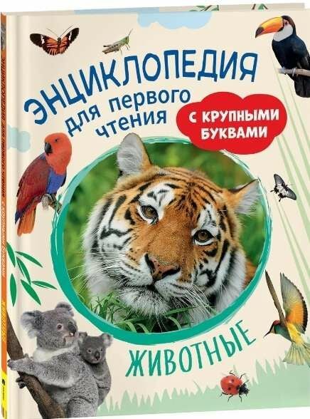 Животные. Энциклопедия для первого чтения с крупными буквами  _ Hayvanlar. Büyük Harflerle İlk Okuma İçin Ansiklopedi