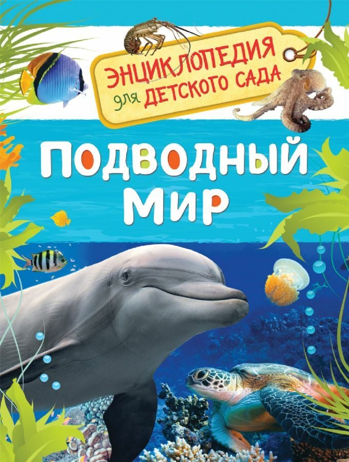 Подводный мир  _ Sualtı Dünyası