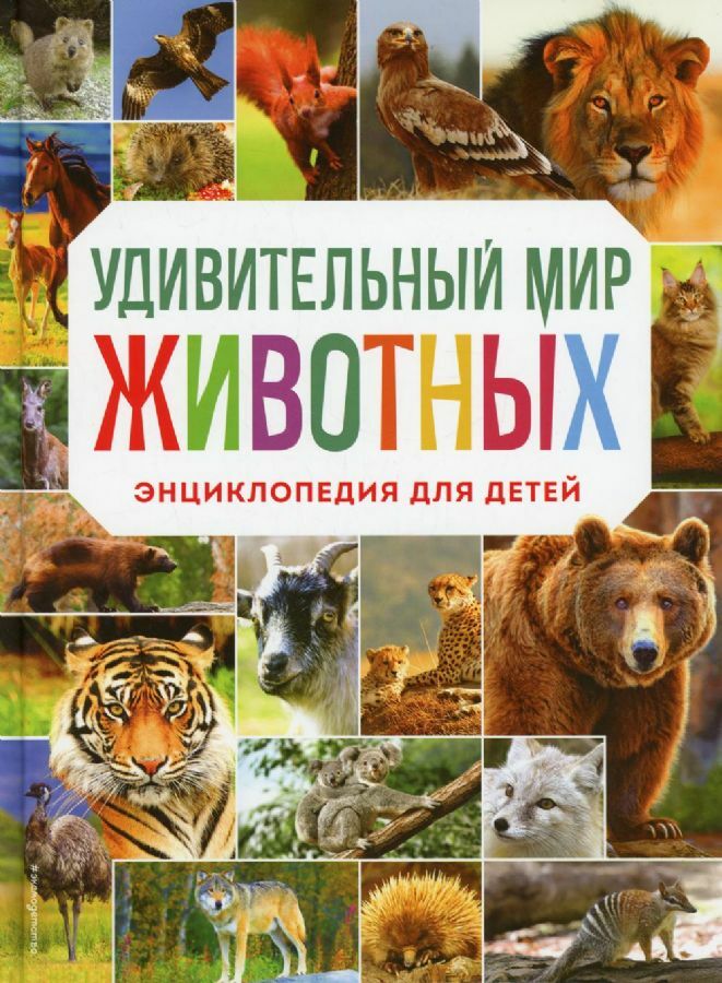 Удивительный мир животных. Энциклопедия для детей  _ Hayvanların Muhteşem Dünyası. Çocuklar İçin Ansiklopedi