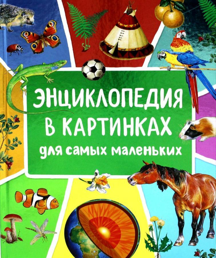 Энциклопедия В Картинках Для Самых Маленьких __ Книга в картинках для самых маленьких