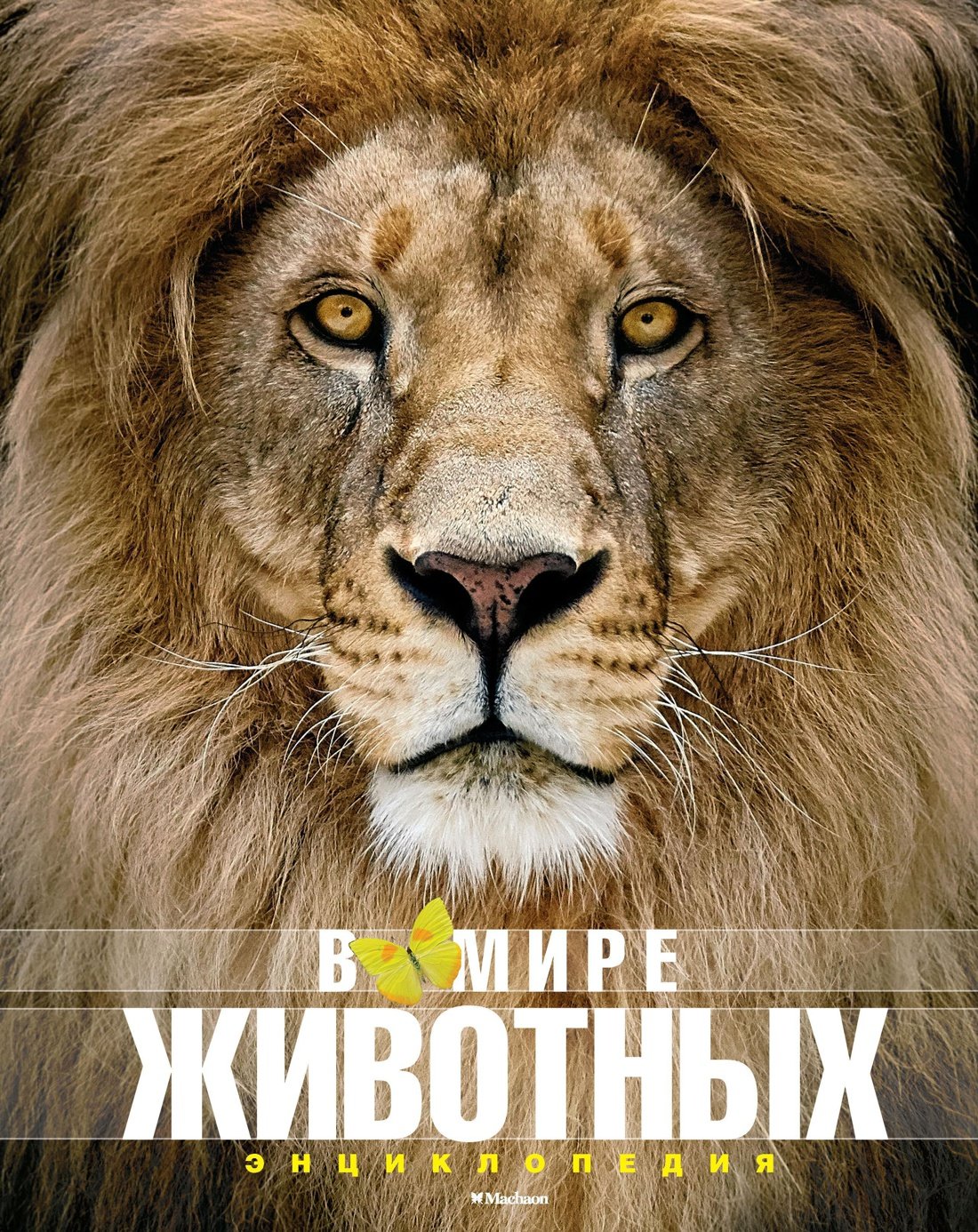 В мире животных_ Hayvan Dünyasında