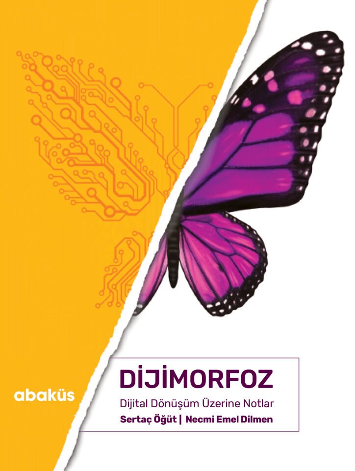 Notes on Digimorphosis Digital Transformation