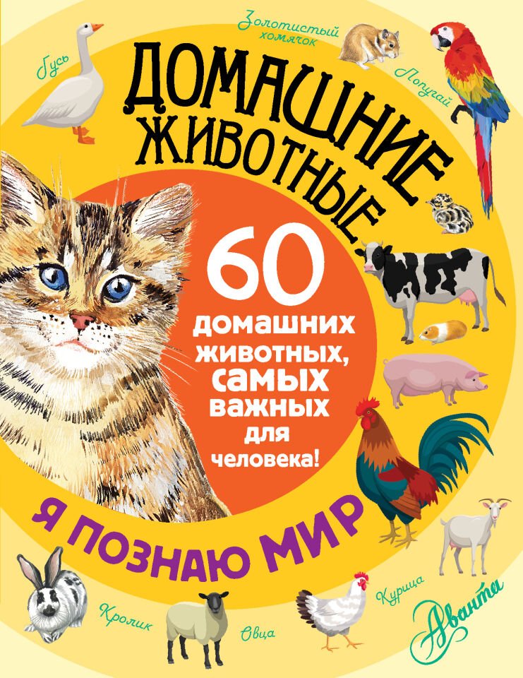 Домашние животные  _ Evcil Hayvanlar