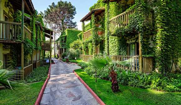 GYPSOPHILLA MARINE BELDİBİ