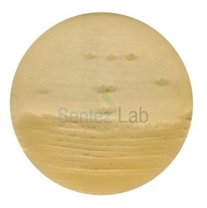 Antibiotic Agar No. 1 For Microbiology Merck 105272 500 gr