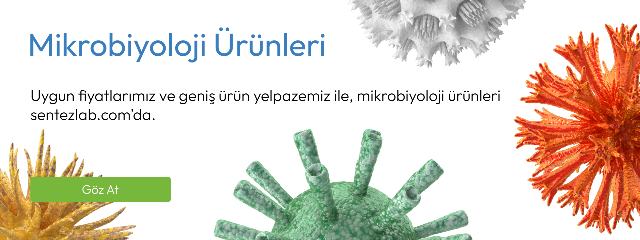 Mikrobiyoloji Ürünleri Slider