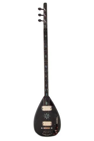 Profesyonel Elektro Bağlama