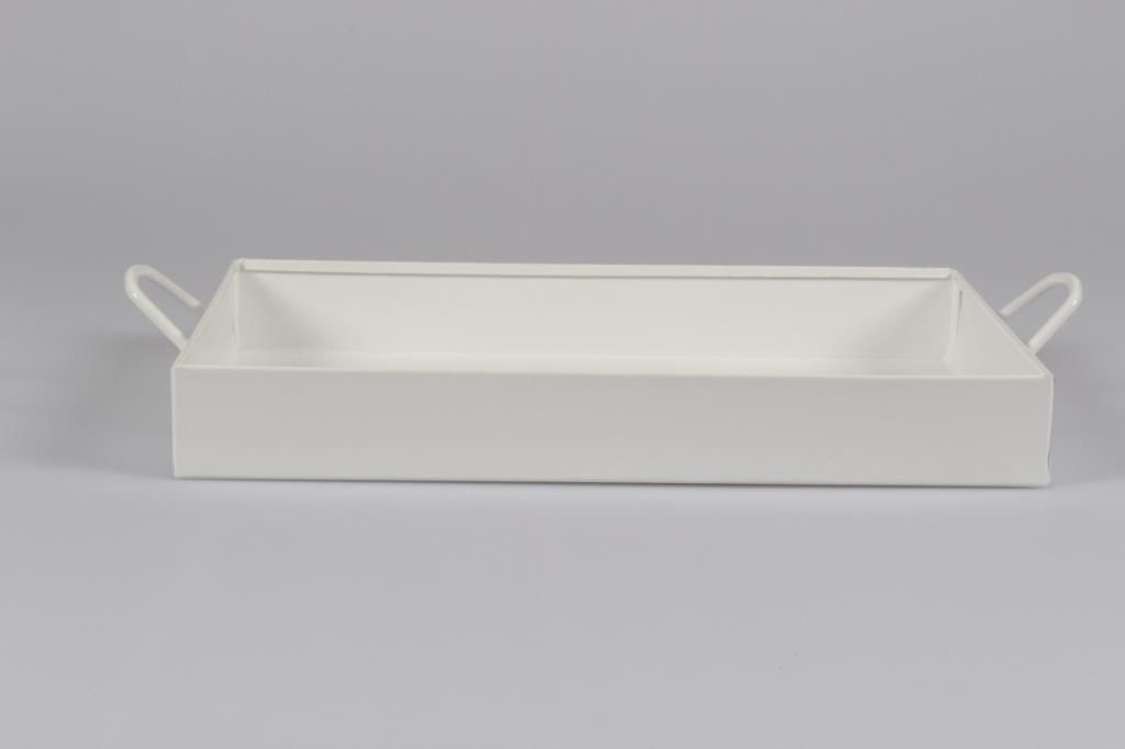 Galvaniz Tepsi Kulplu Beyaz Renk 21.5 cm