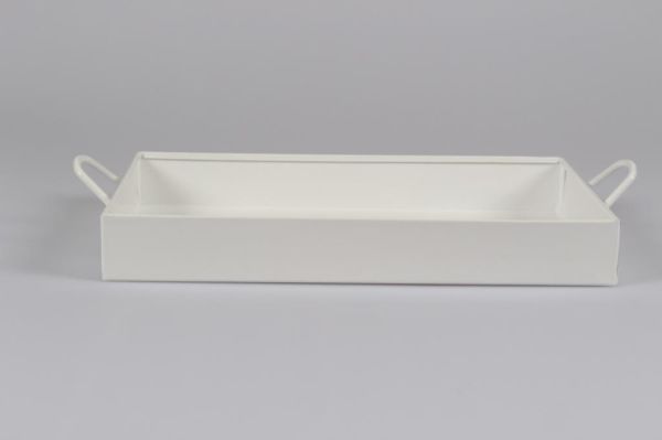 Galvaniz Tepsi Kulplu Beyaz Renk 21.5 cm