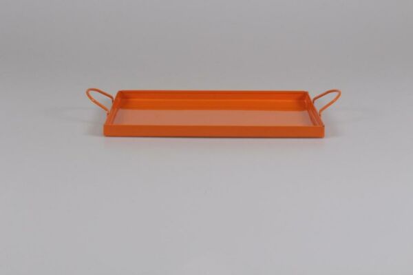 Galvaniz Dikdörtgen Kulplu Tepsi 24 Cm