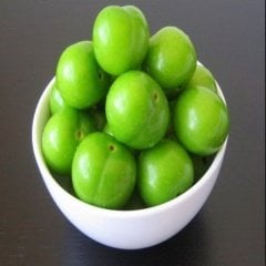 Yarı Bodur Ağustos Papazı Fidanı