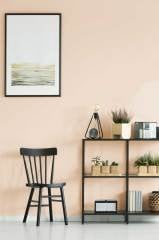 Duvar Boyası Ani (Wall Art Paint)