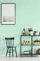 Duvar Boyası Menderes (Wall Art Paint)