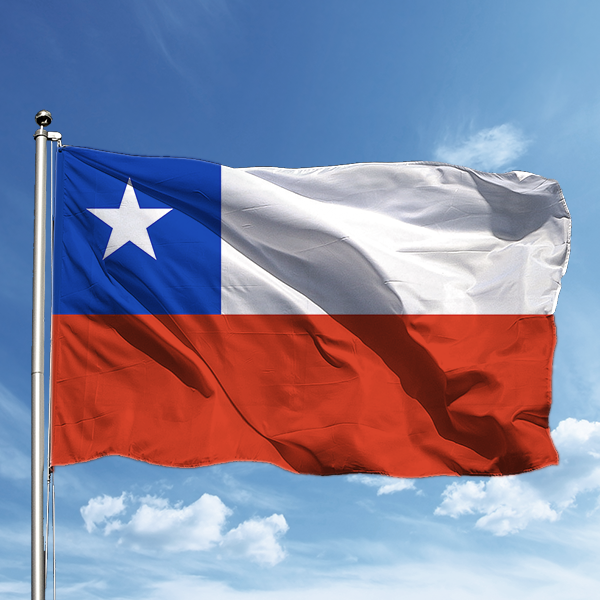 Şili Bayrağı 50*75 cm