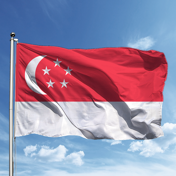 Singapur Bayrağı 50*75 cm