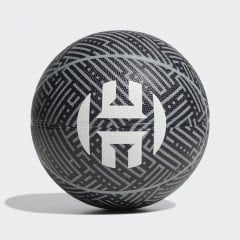 Adidas Harden Sig Ball Basketbol Topu No:7