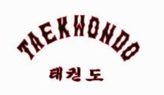 Dae Do TA-1047 Taekwondo Elbisesi