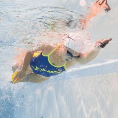 Finis ISO El Paleti