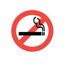 Saray Sticker  ''Sigara İçilmez''