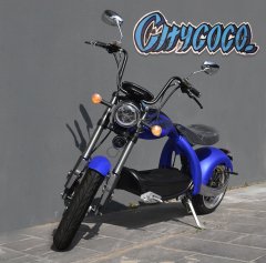 Citycoco QR-X5